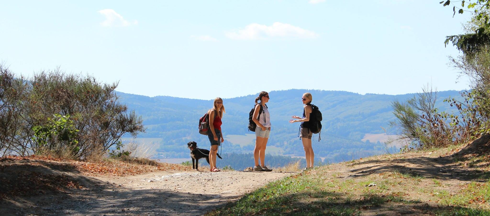 12045658_10153197386521947_8933260873251934429_o